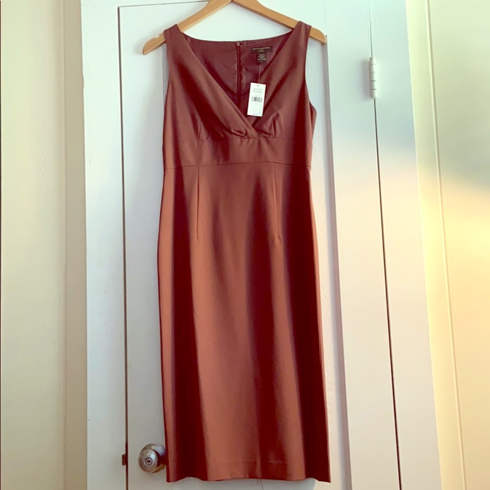 NWT Banana Republic mauve sheath dress size 8
